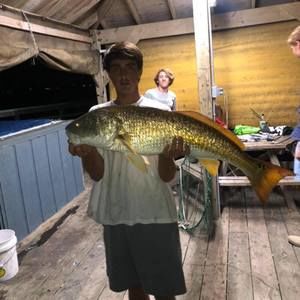 Meet your Posher, Hunter